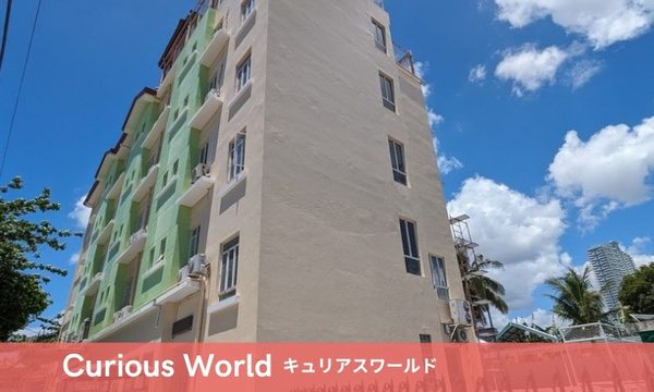 Curious Worldの写真