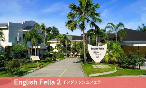 English Fella 2の写真